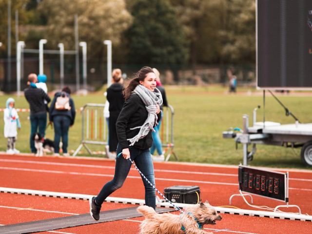Les images du Crac'sathon 2018 - photo 87