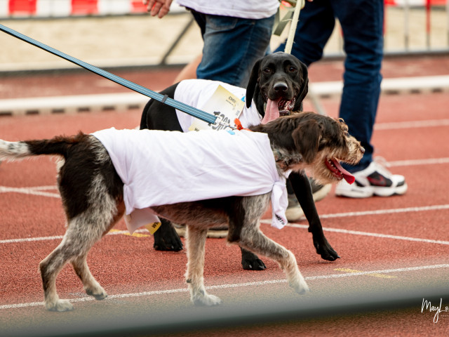 Les images du Crac'sathon 2024 - photo 291